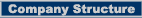 Company Stucture